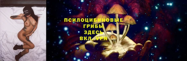 эйфоретик Кулебаки